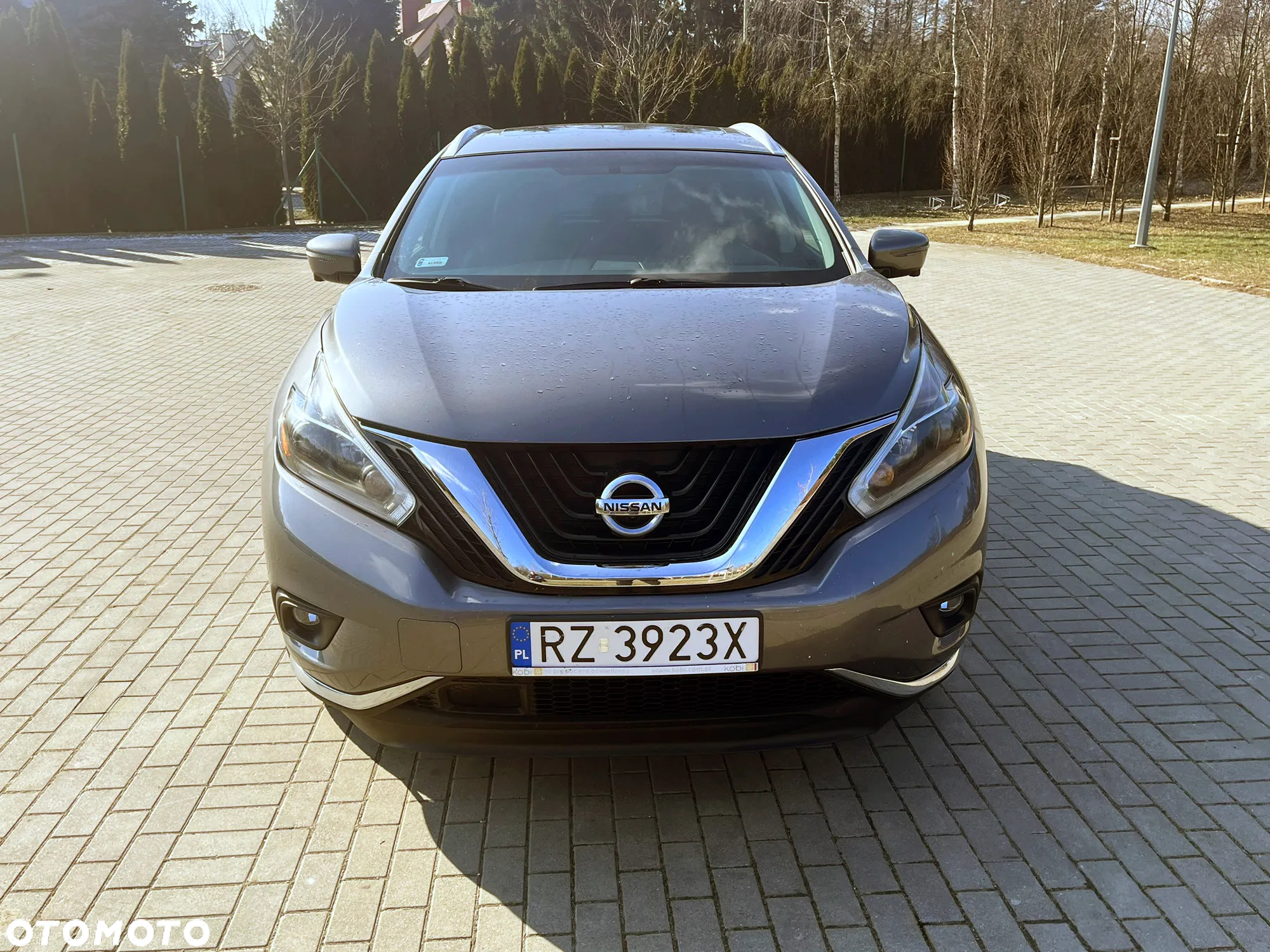 Nissan Murano 3.5 V6 Premium - 7