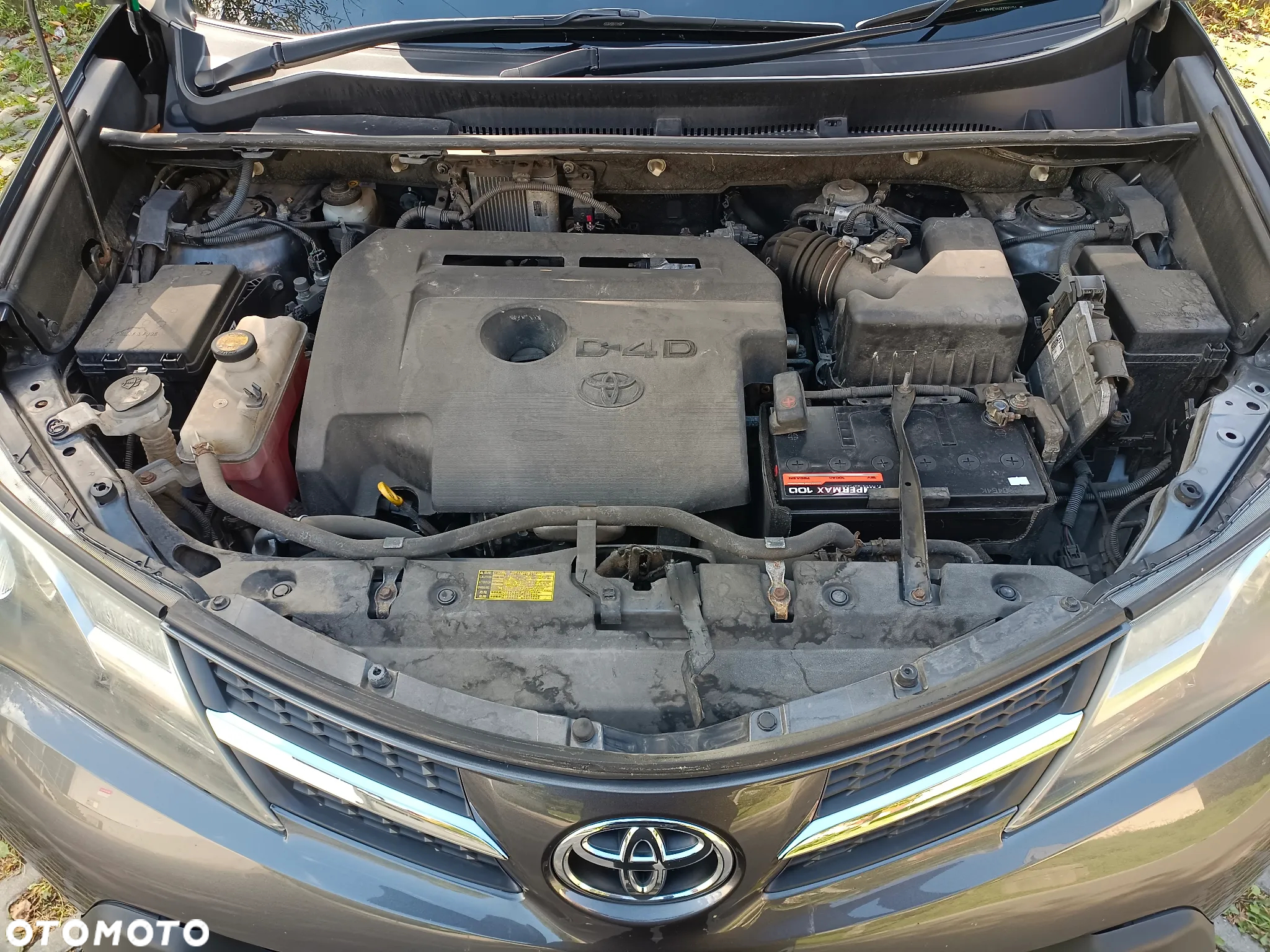 Toyota RAV4 - 20