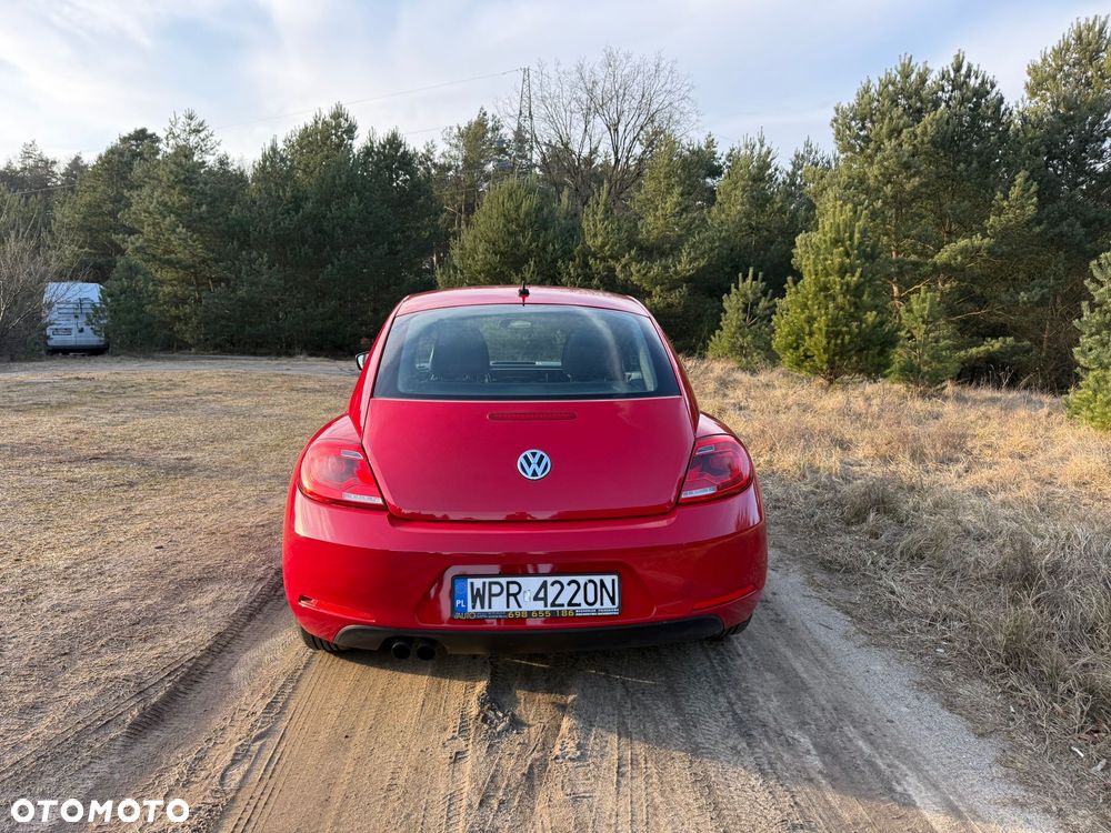 Volkswagen Beetle - 8