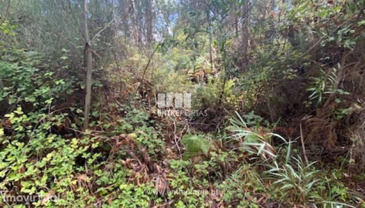 Venda de terreno com 4992 m2, Castelo do Neiva, Viana do Castelo - Grande imagem: 3/18