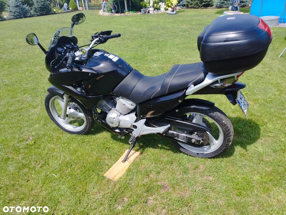 Honda Varadero - 5