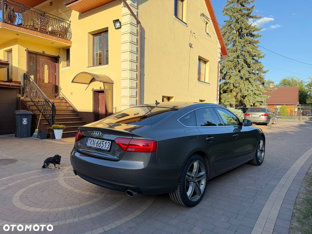 Audi A5 Sportback 3.0 TDI quattro DPF S tronic - 15