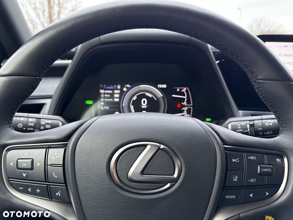 Lexus UX 250h GPF F Sport Design 2WD - 17