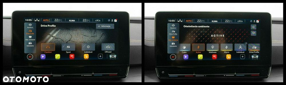 Cupra Formentor 2.0 TSI 4Drive DSG - 21