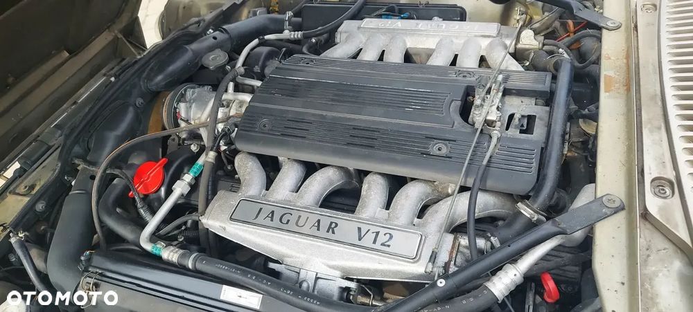 Jaguar XJS - 22