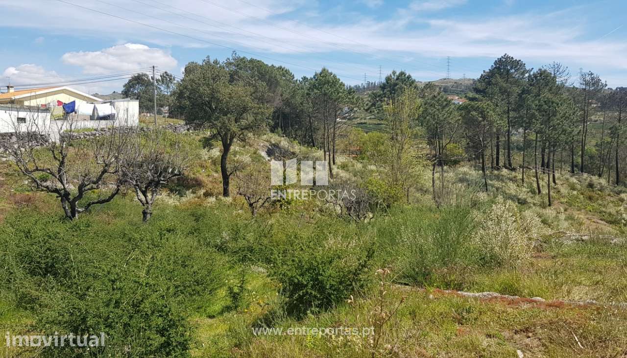 Venda Terreno, Soalhães, Marco de Canaveses - Grande imagem: 4/6