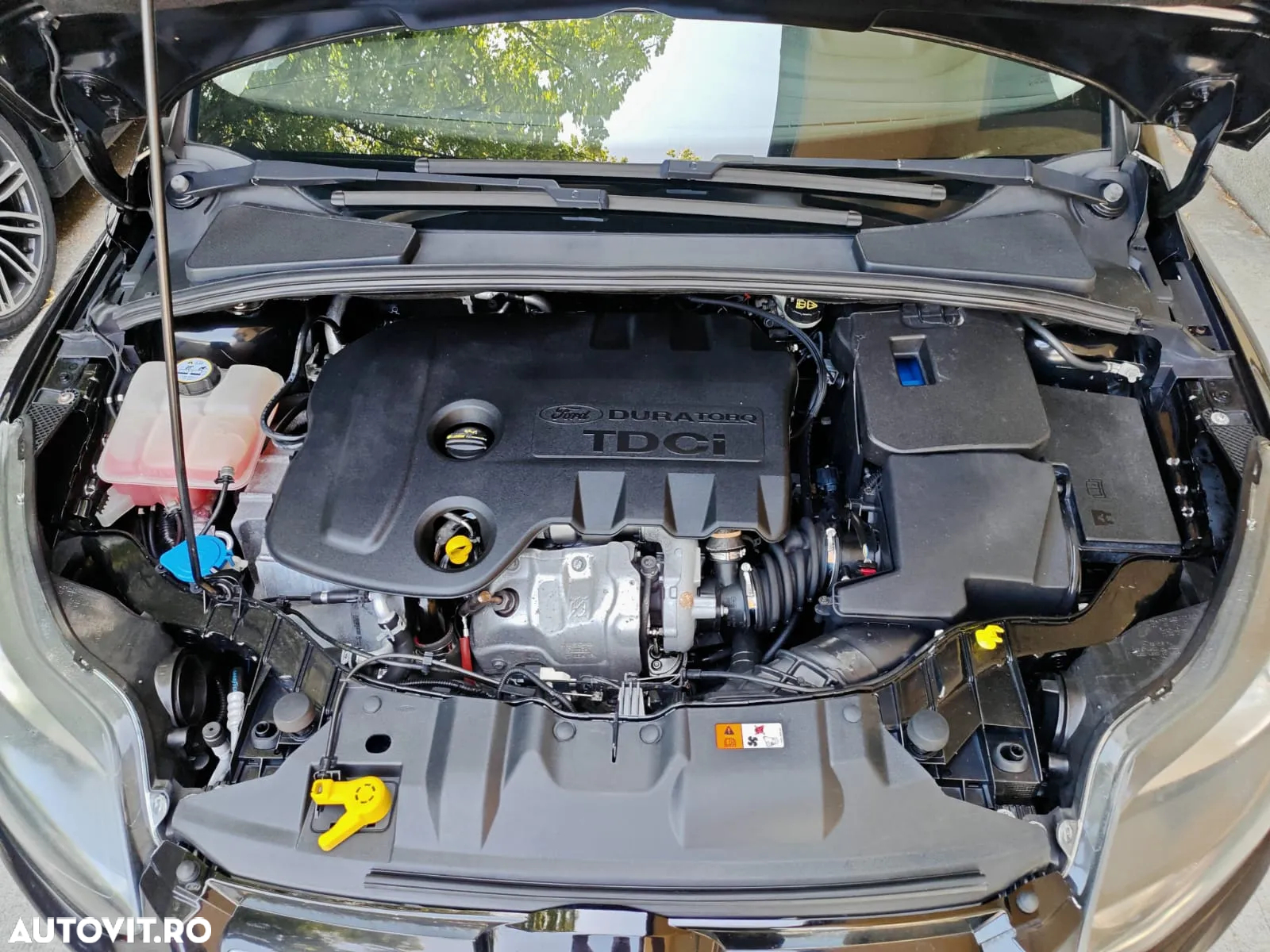 Ford Focus 1.6 TDCi ECOnetic 88g Start-Stopp-System Titanium - 8