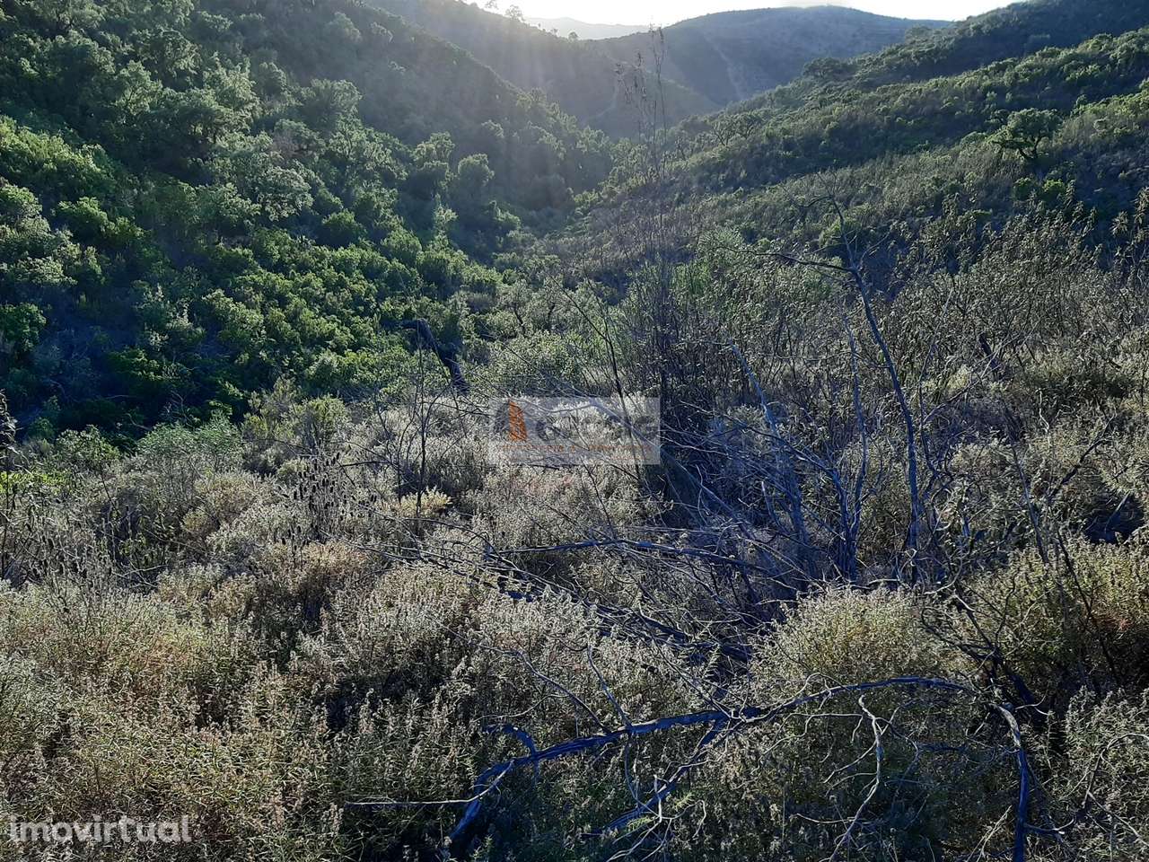 Terreno  Venda em São Barnabé,Almodôvar - Grande imagem: 5/12