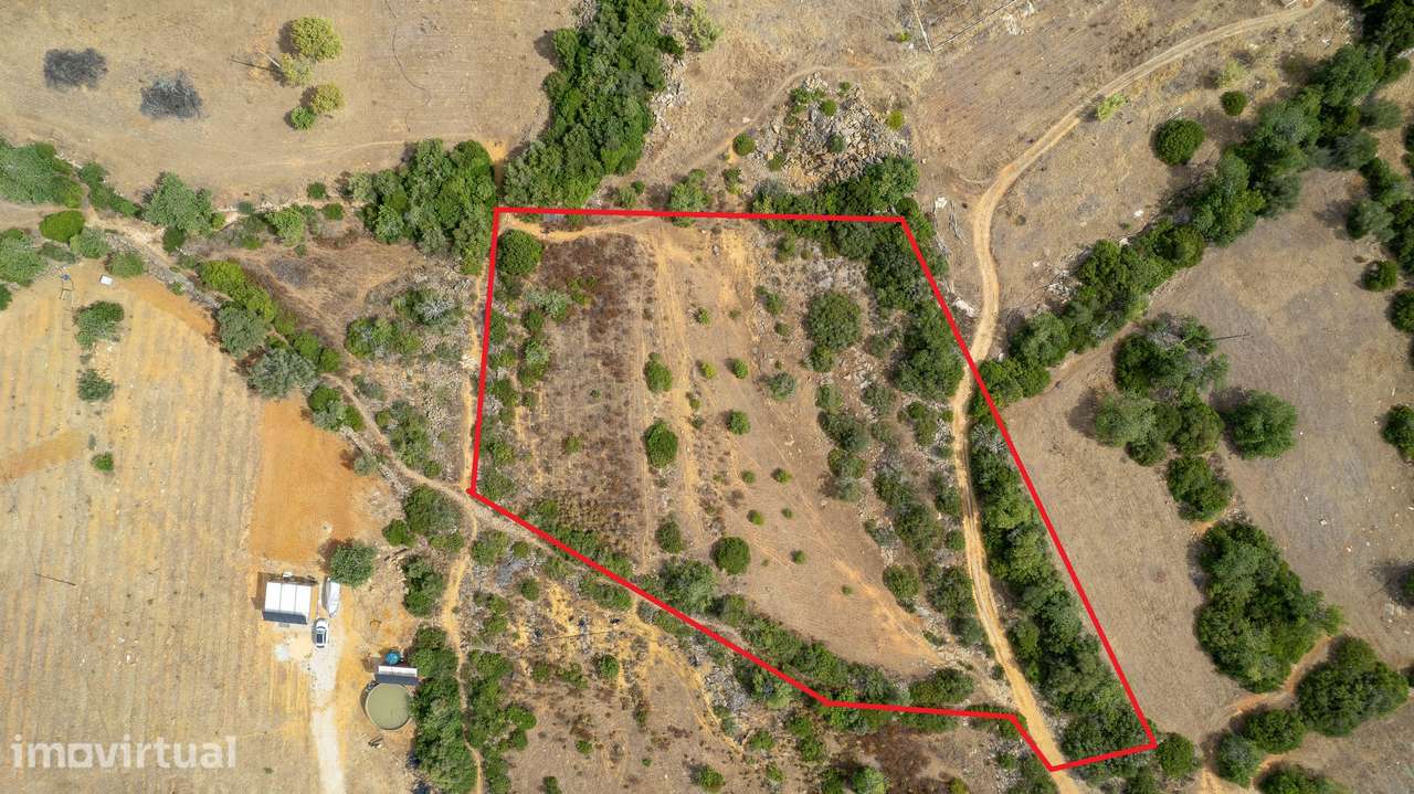 Terreno Rústico de 3.650 m² entre Pechão e Estoi - Grande imagem: 2/11