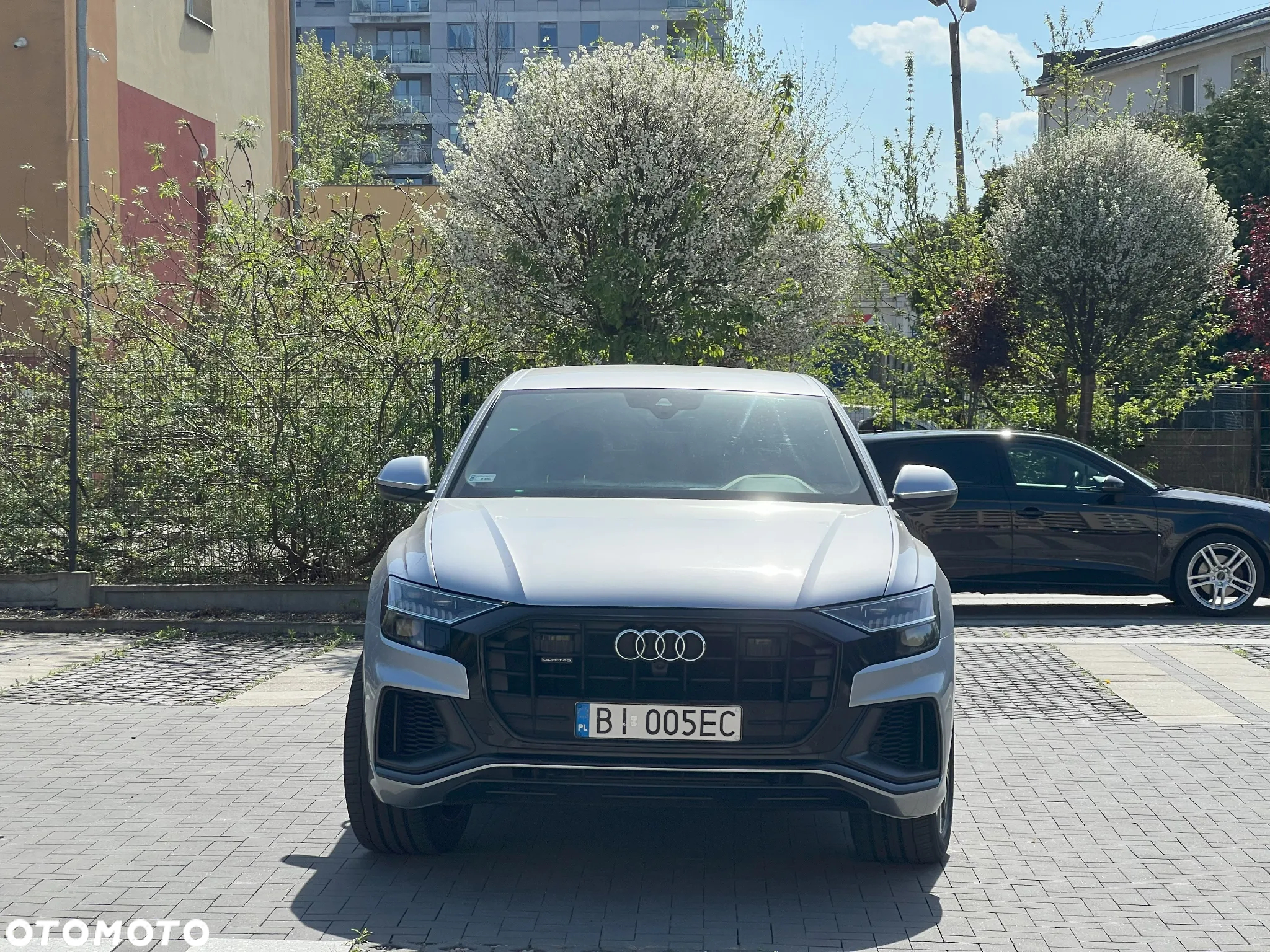 Audi Q8 - 10