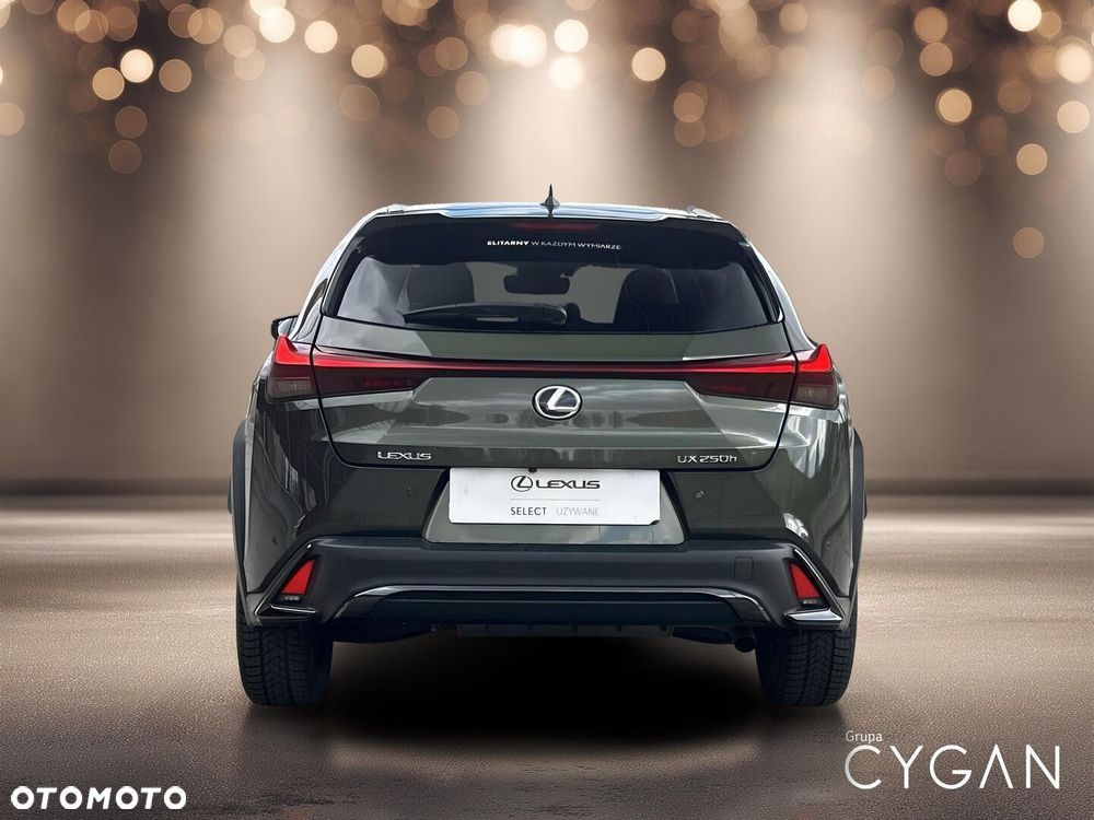 Lexus UX 250h GPF F Sport Design+ 2WD - 6