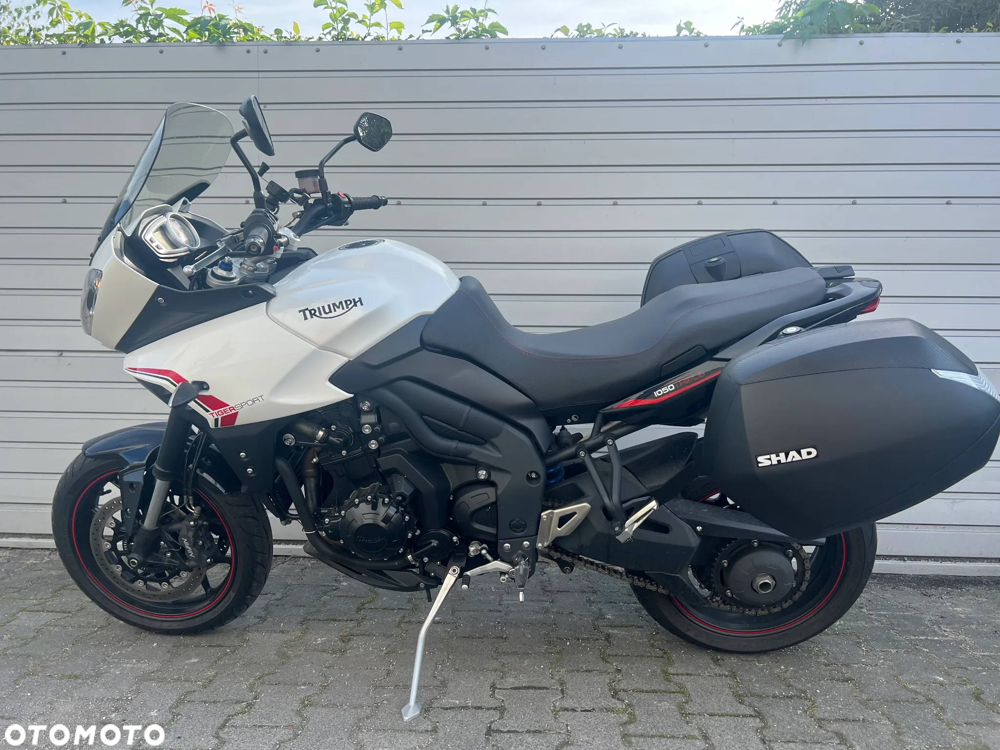 Triumph Tiger - 2