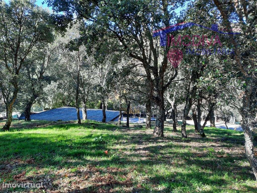 Edifício para transformar, em Figueiró dos Vinhos - Grande imagem: 4/8