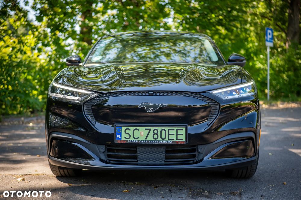 Ford Mustang Mach-E Standard