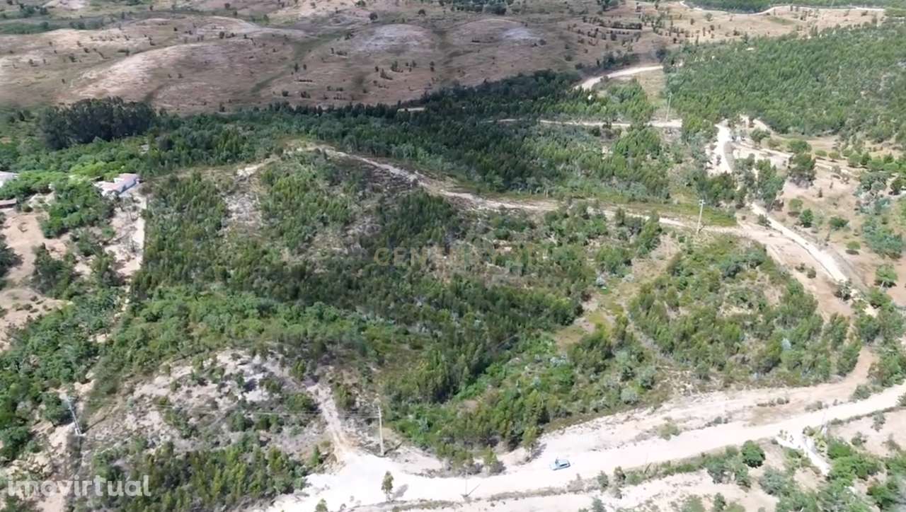 Terreno, 75 000 m², Boavista dos Pinheiros - Grande imagem: 4/11