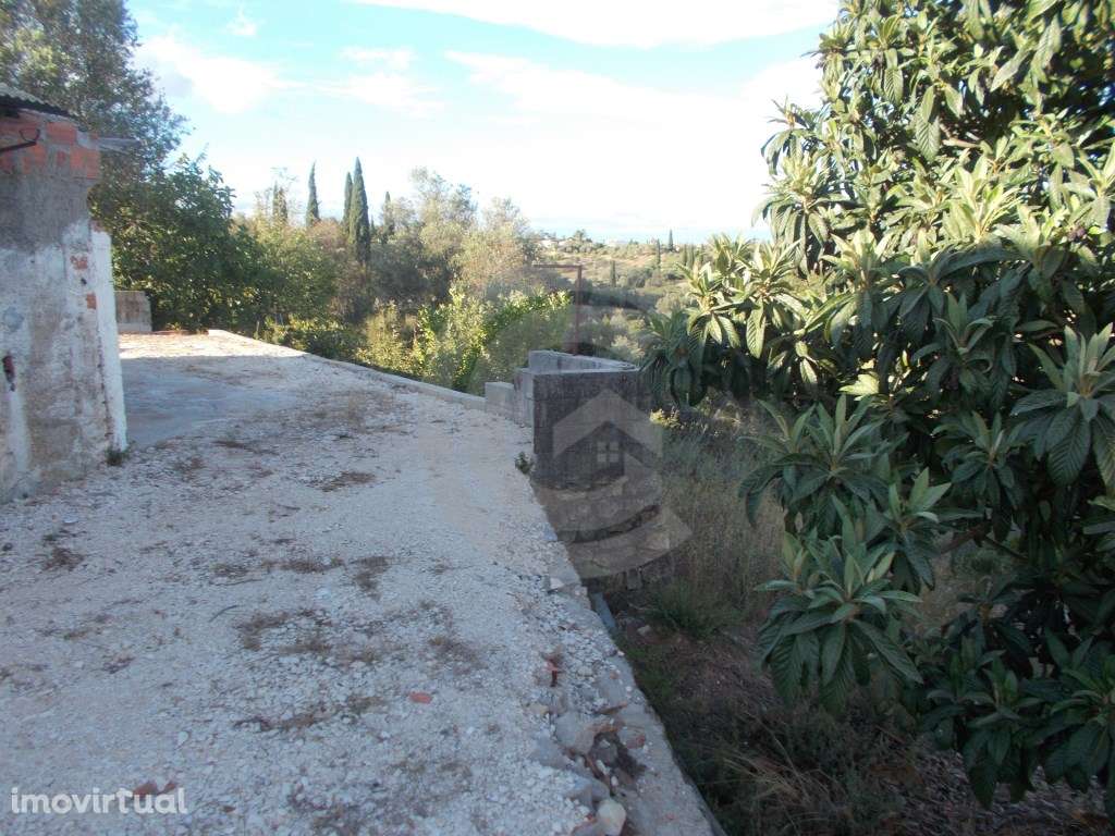 Moradia para recuperar - Grande imagem: 4/7