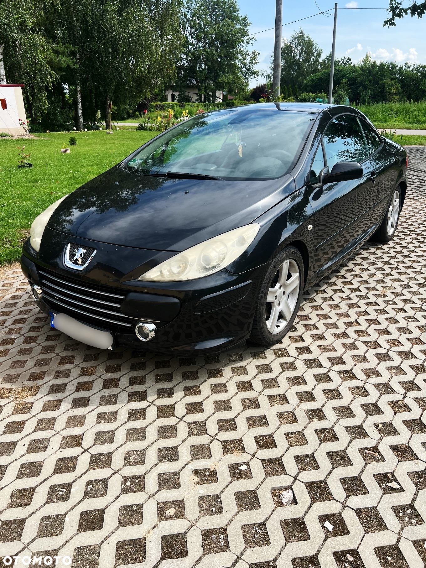 Peugeot 307 CC 2.0 - 6