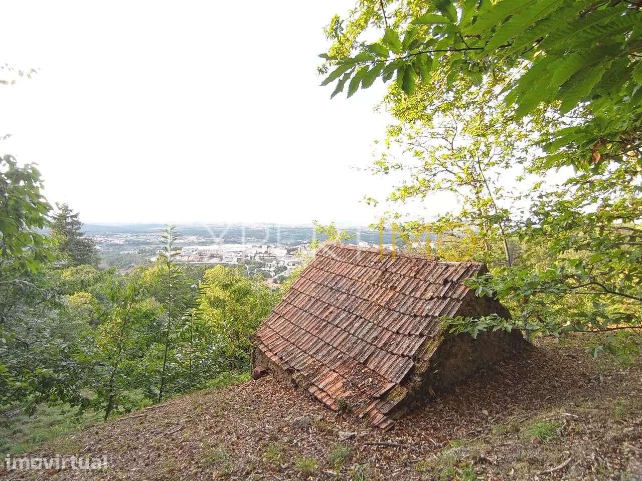 Terreno rústico com casa ade arrumos à venda em São Romão em plena... - Grande imagem: 3/21