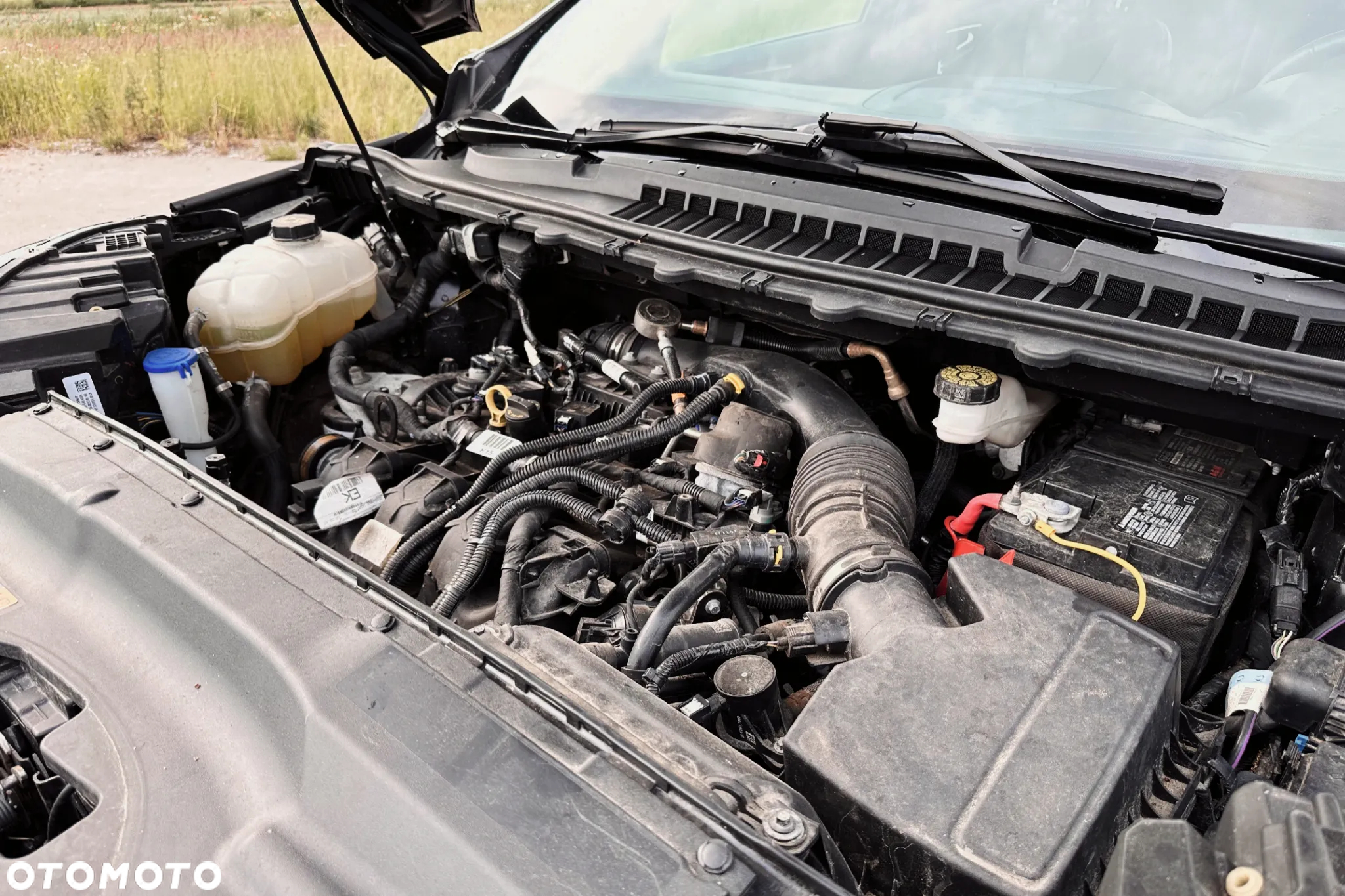 Ford Edge - 21