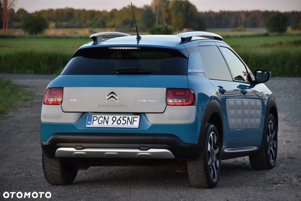 Citroën C4 Cactus BlueHDi 100 Stop&Start Rip Curl - 6
