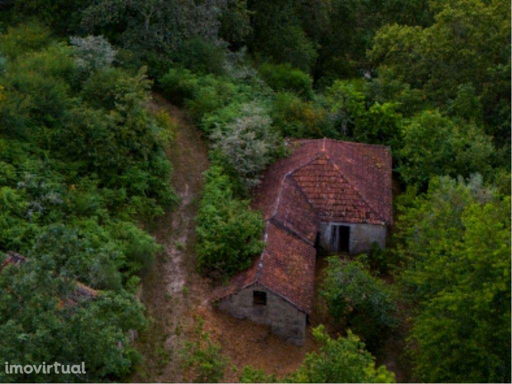 Quinta em Amarante (Gondar) com casa para Restauro - Grande imagem: 4/20