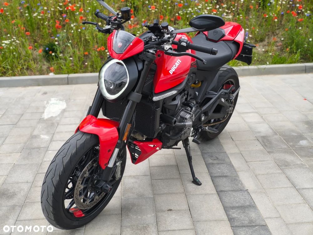Ducati Monster - 1