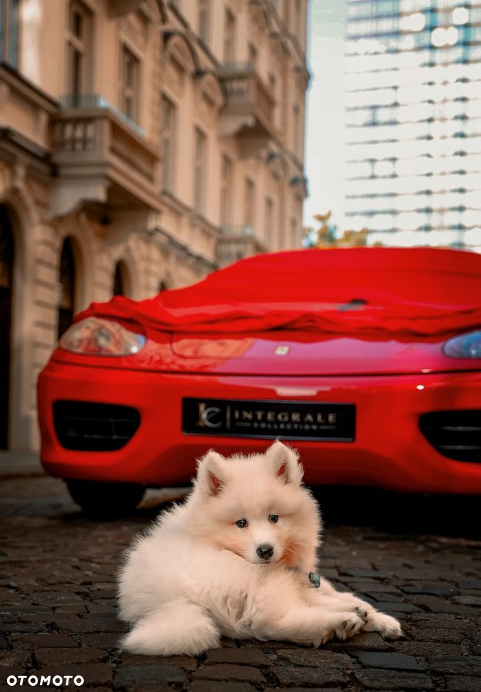 Ferrari 360 - 23