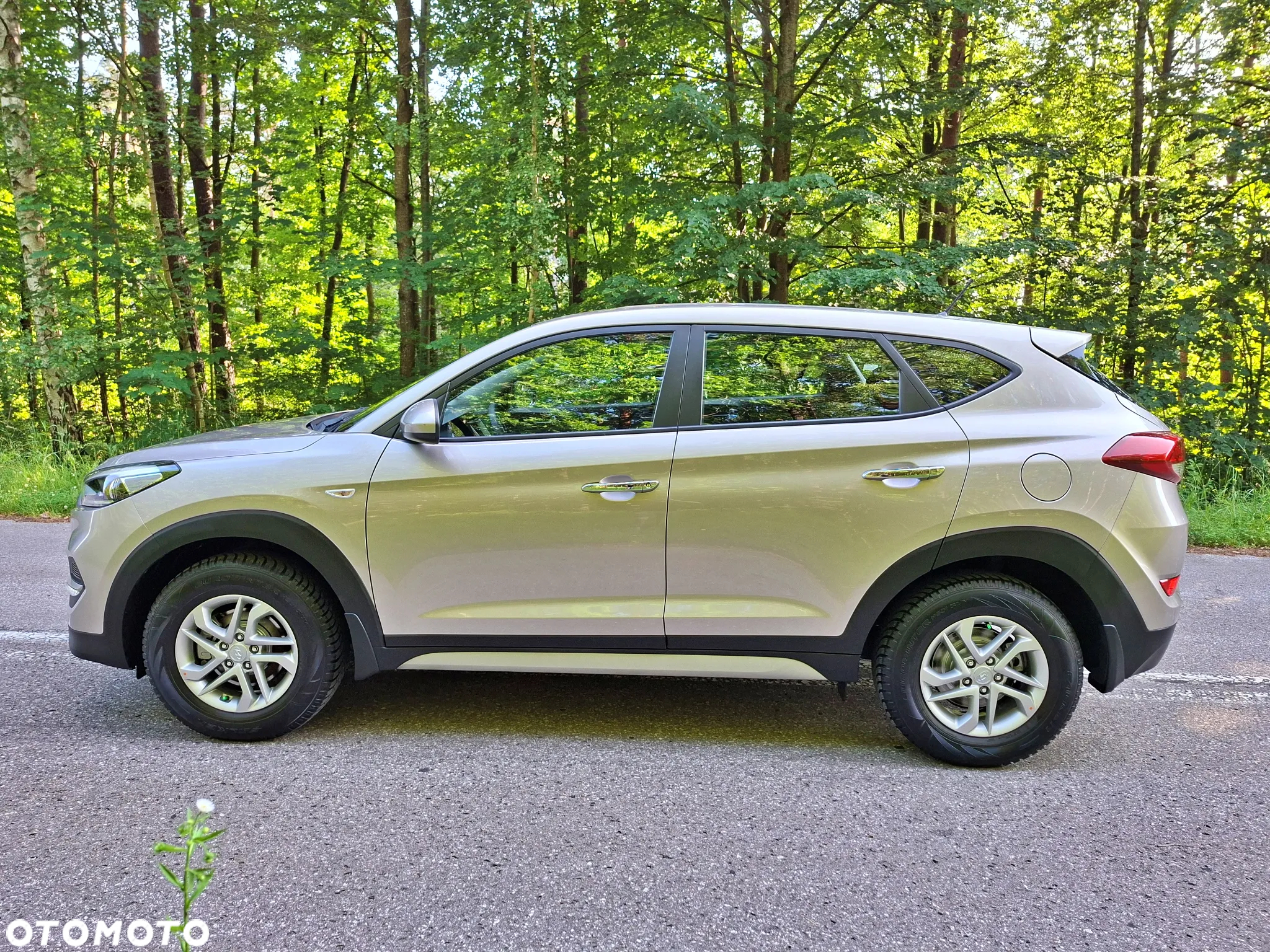 Hyundai Tucson 1.6 GDI BlueDrive Comfort 2WD - 5
