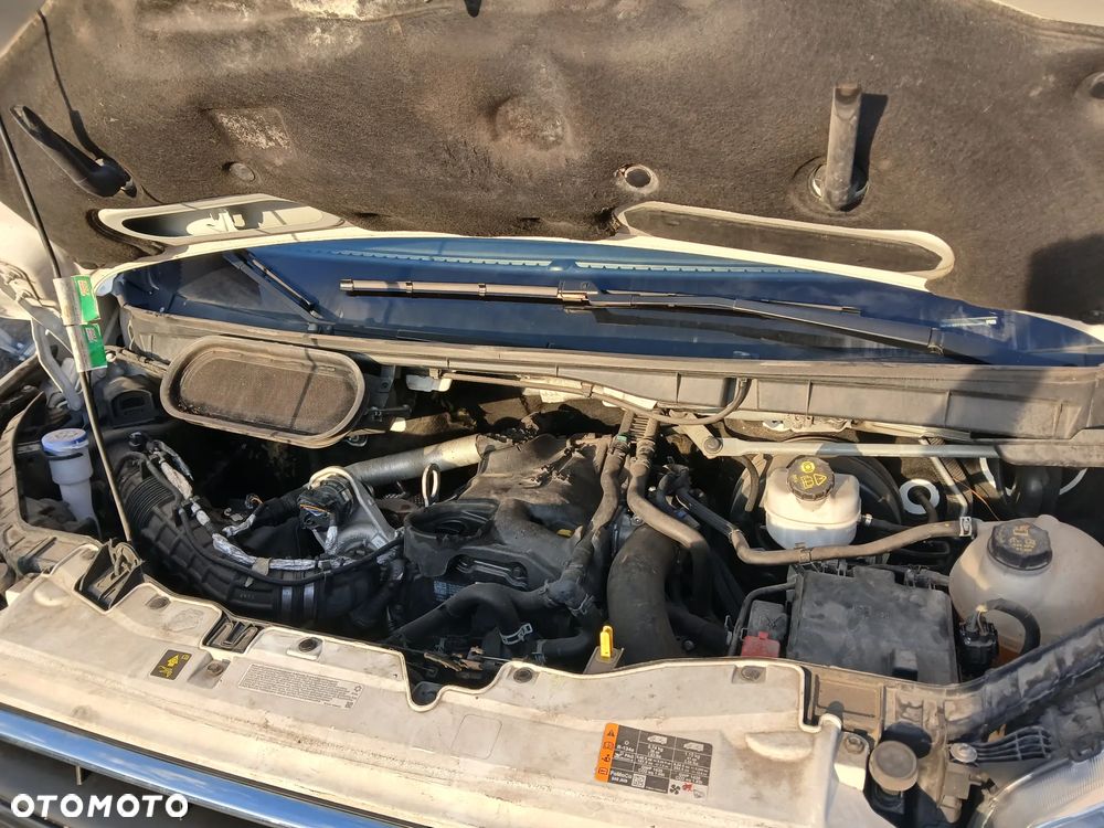Ford Transit - 23