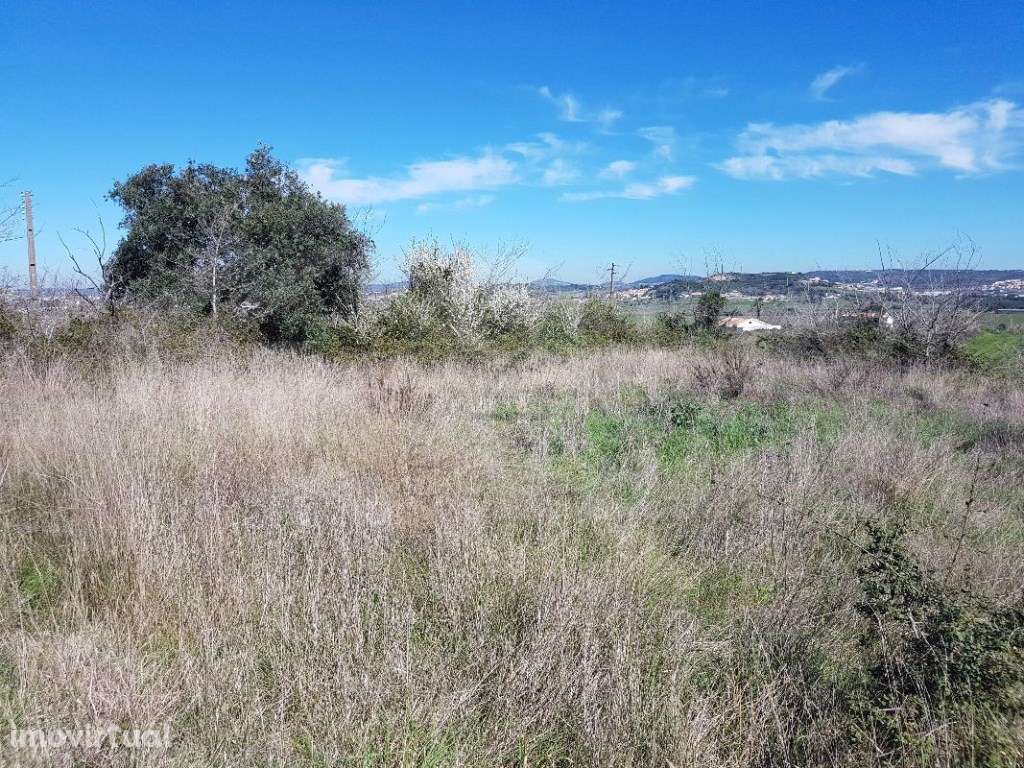 Terreno Rústico junto A16 - Grande imagem: 4/4