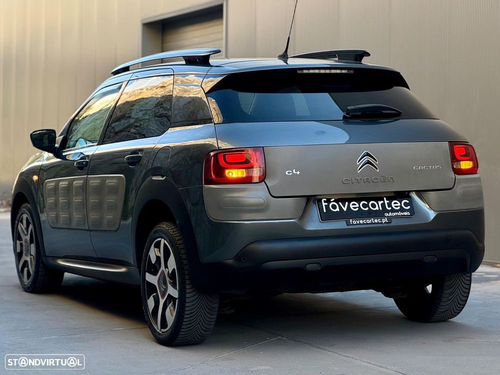 Citroën C4 Cactus 1.6 BlueHDi Shine - 16