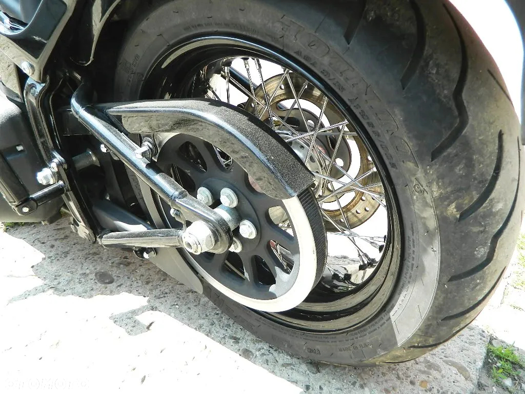 Harley-Davidson Softail Cross Bones - 11