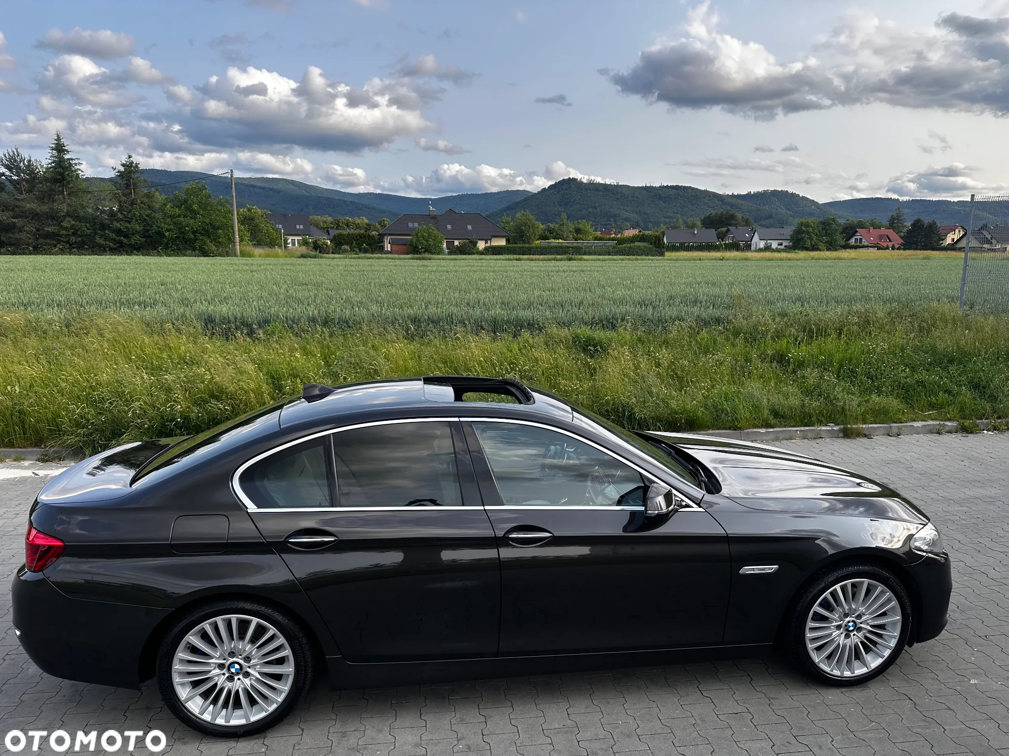 BMW Seria 5 525d xDrive Luxury Line - 2