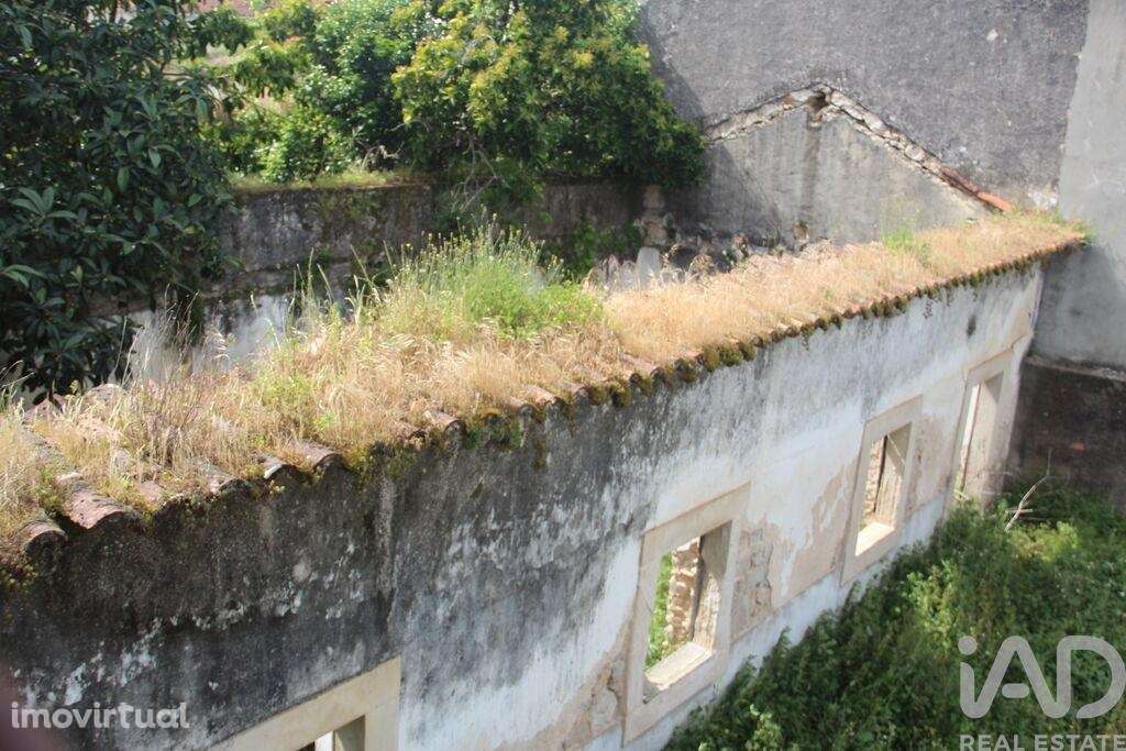 Terreno para construção em Malhou, Louriceira e Espinheiro - Grande imagem: 2/17