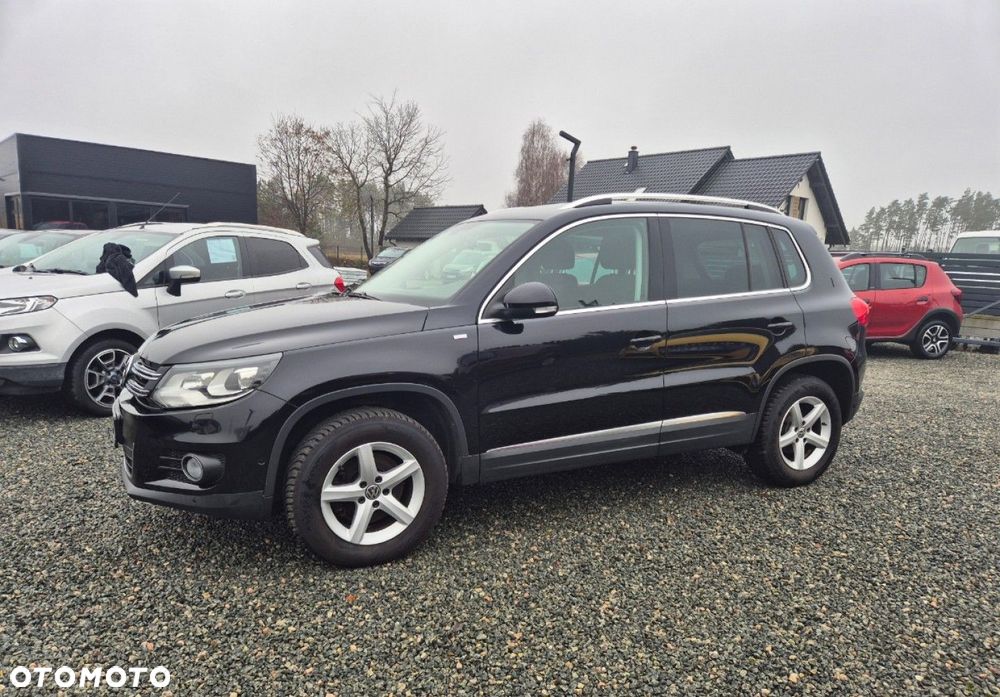 Volkswagen Tiguan - 21