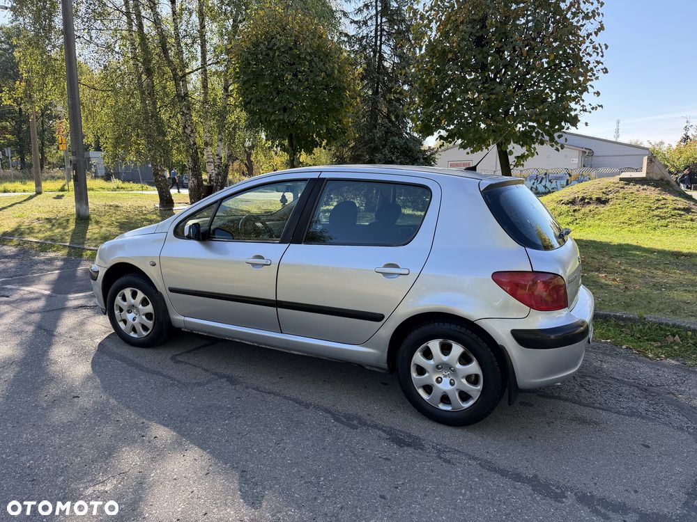 Peugeot 307 - 5