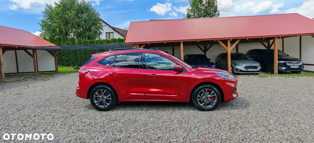 Ford Kuga 2.0 EcoBlue AWD ST-Line X - 8