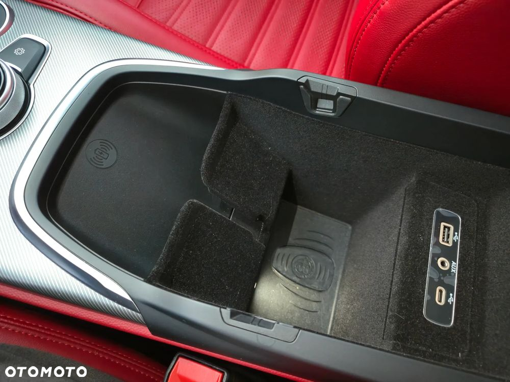 Alfa Romeo Stelvio 2.0 Turbo 16V AT8-Q4 Veloce Ti - 38