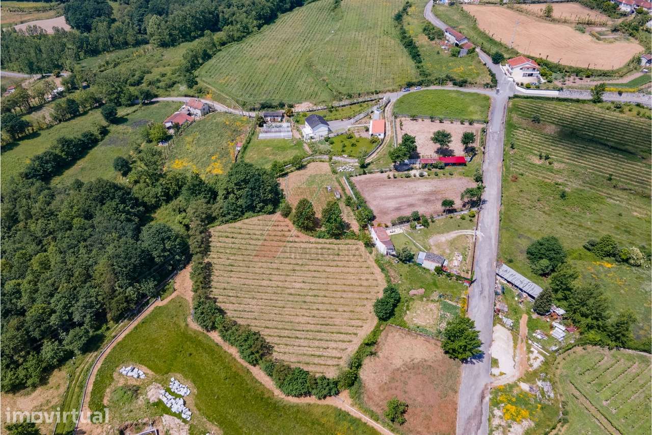 Terreno a 3 km do Centro de Fafe com Vinha e Nascente em Golães- Fafe! - Grande imagem: 3/10
