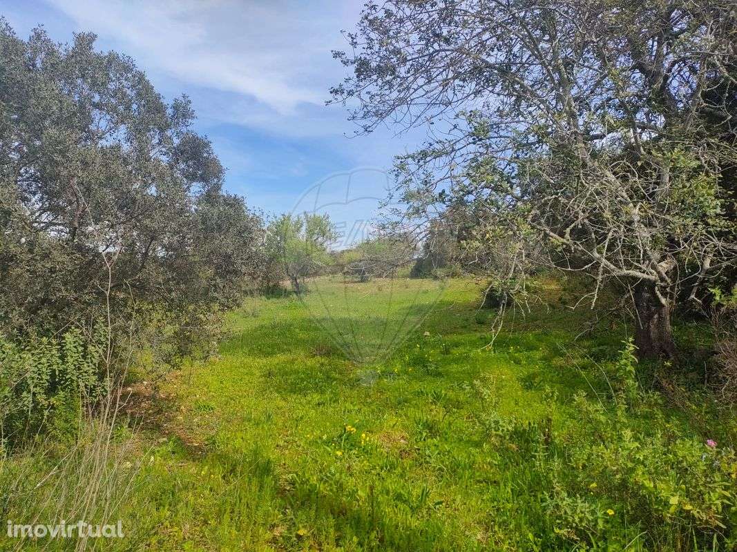 Terreno  para venda - Grande imagem: 5/9