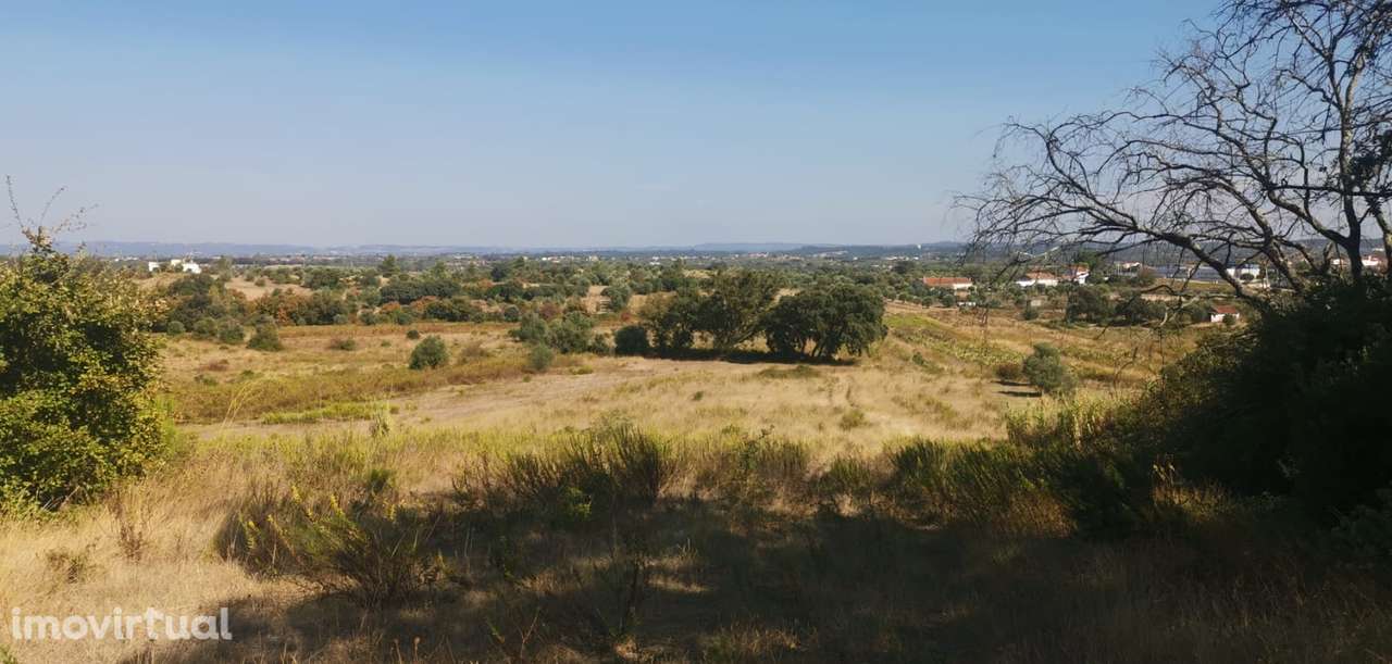 Terreno  Venda em Olaia e Paço,Torres Novas - Grande imagem: 2/8