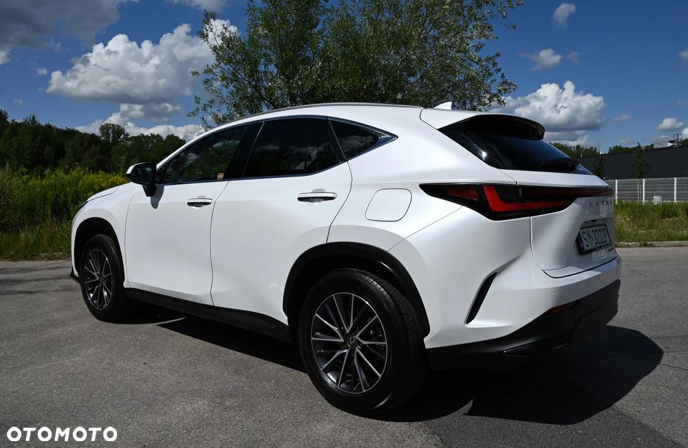 Lexus NX - 18