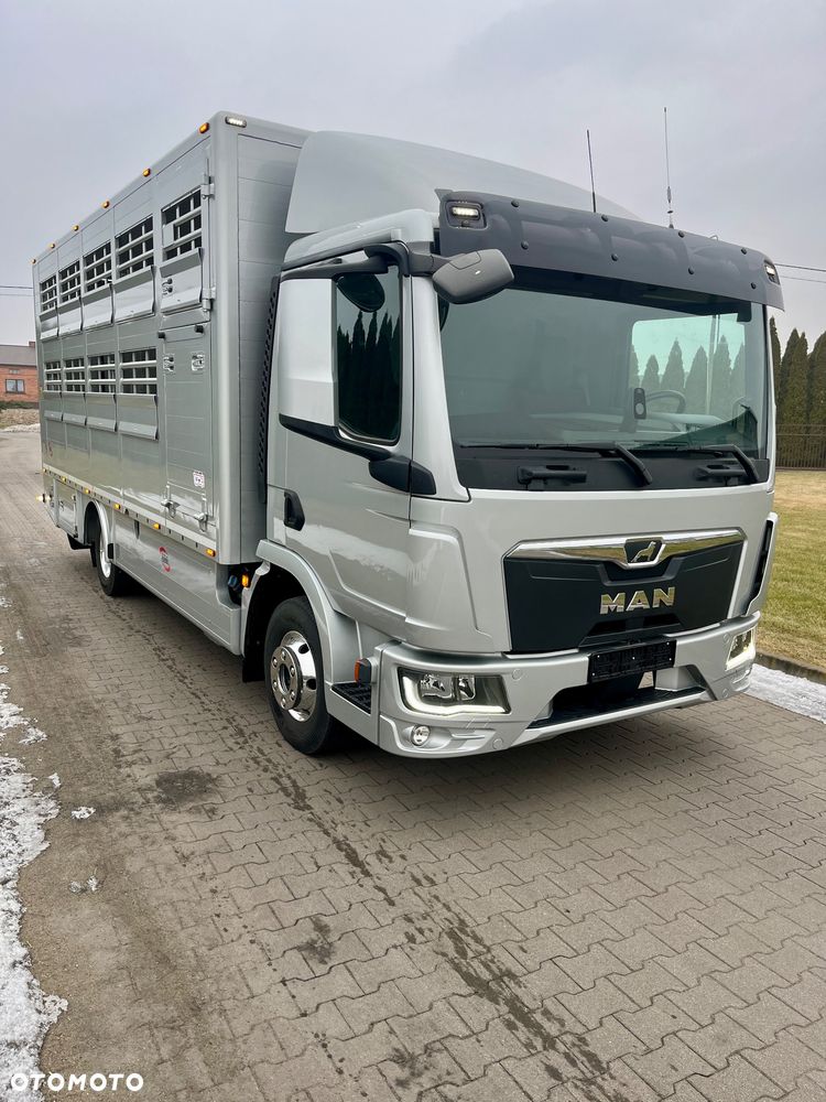 MAN TGL 12.250 2022 Do żywca zwierząt - 3