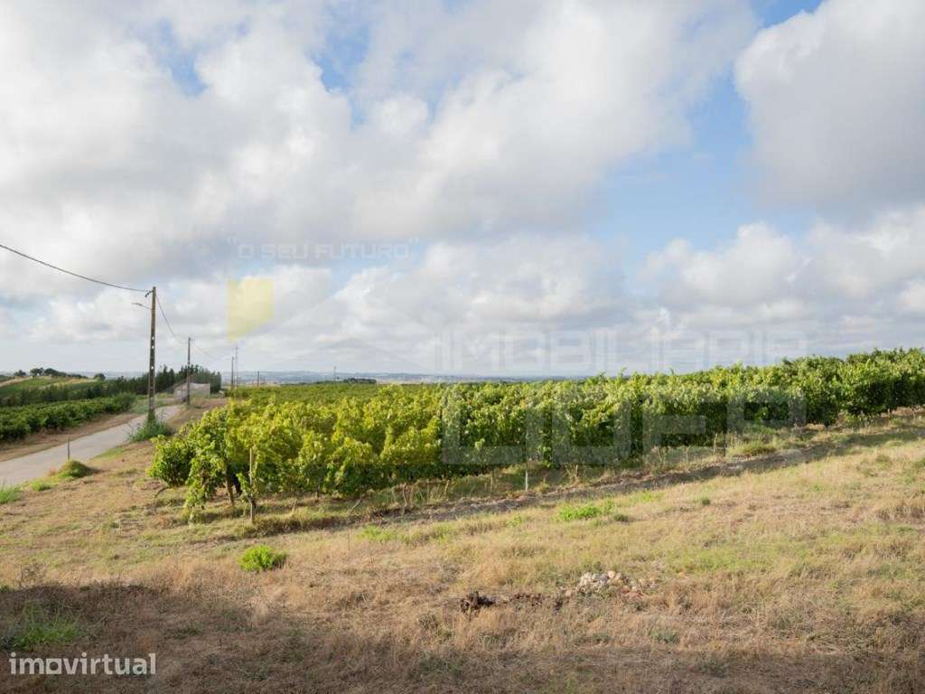 Terreno com 9.0000m² de área de Urbana em Casal do Vale- Freiria - Grande imagem: 3/15