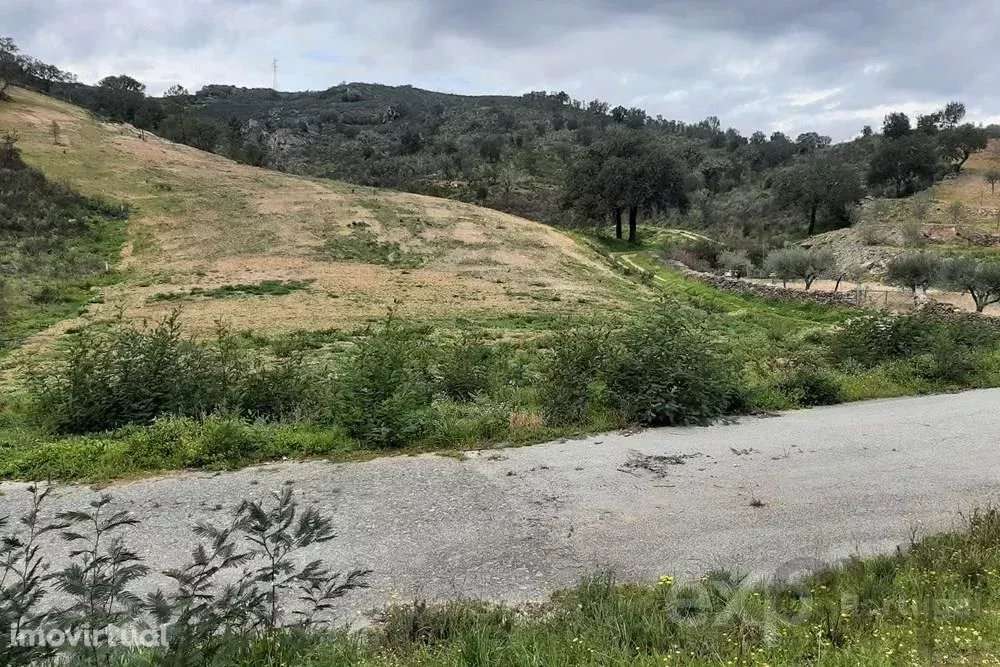 Terrenos Rústicos em Mirandela - Grande imagem: 2/13