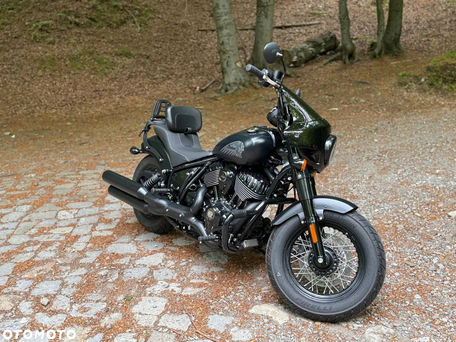 Indian Chief - 8