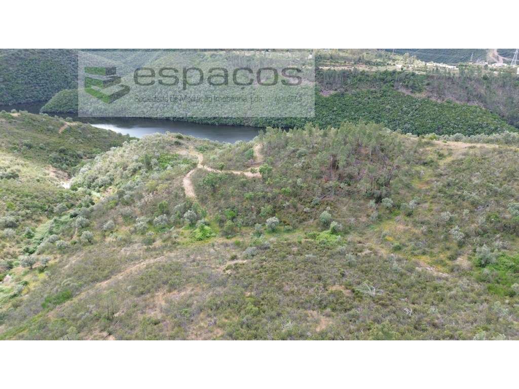 Terrenos Monte Fidalgo - Grande imagem: 4/28
