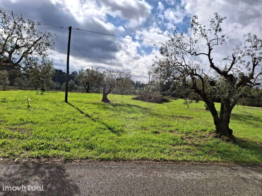 Terreno  para venda - Grande imagem: 5/6