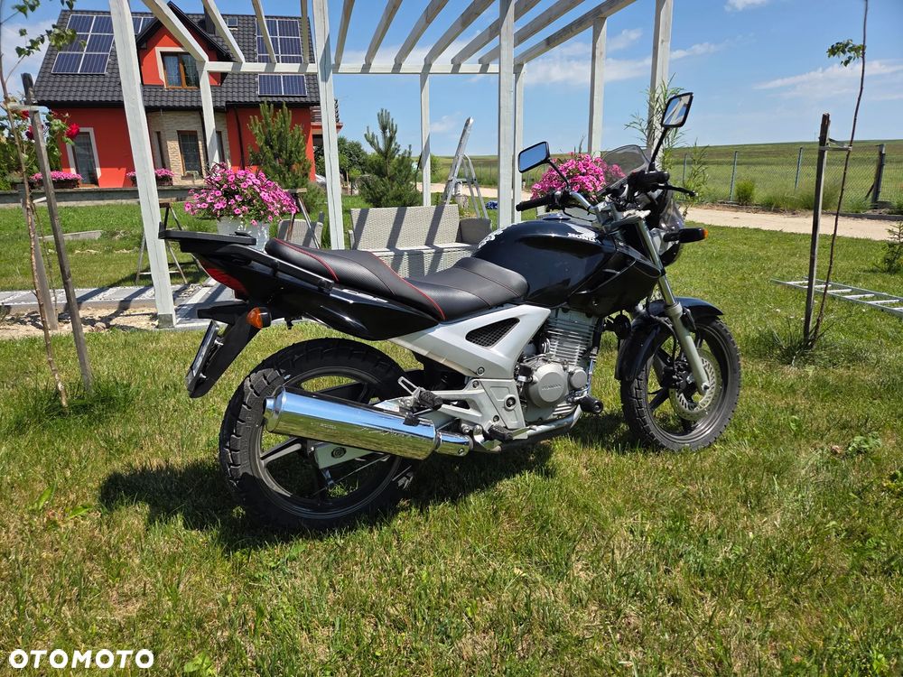 Honda CBF - 16