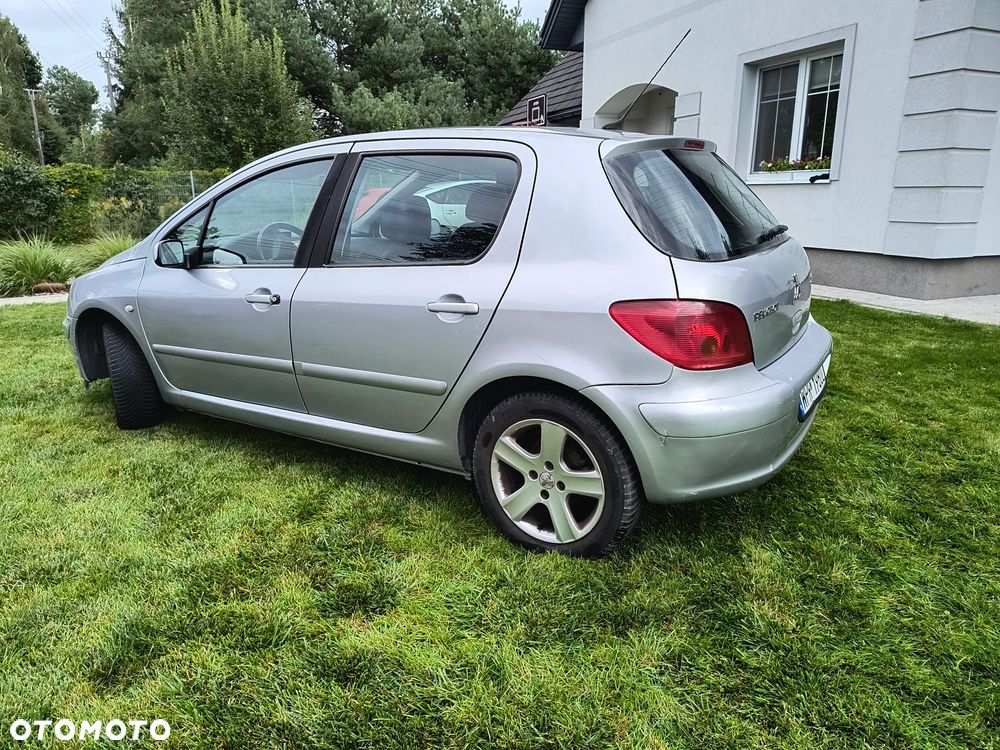 Peugeot 307 1.6 Premium Class - 8